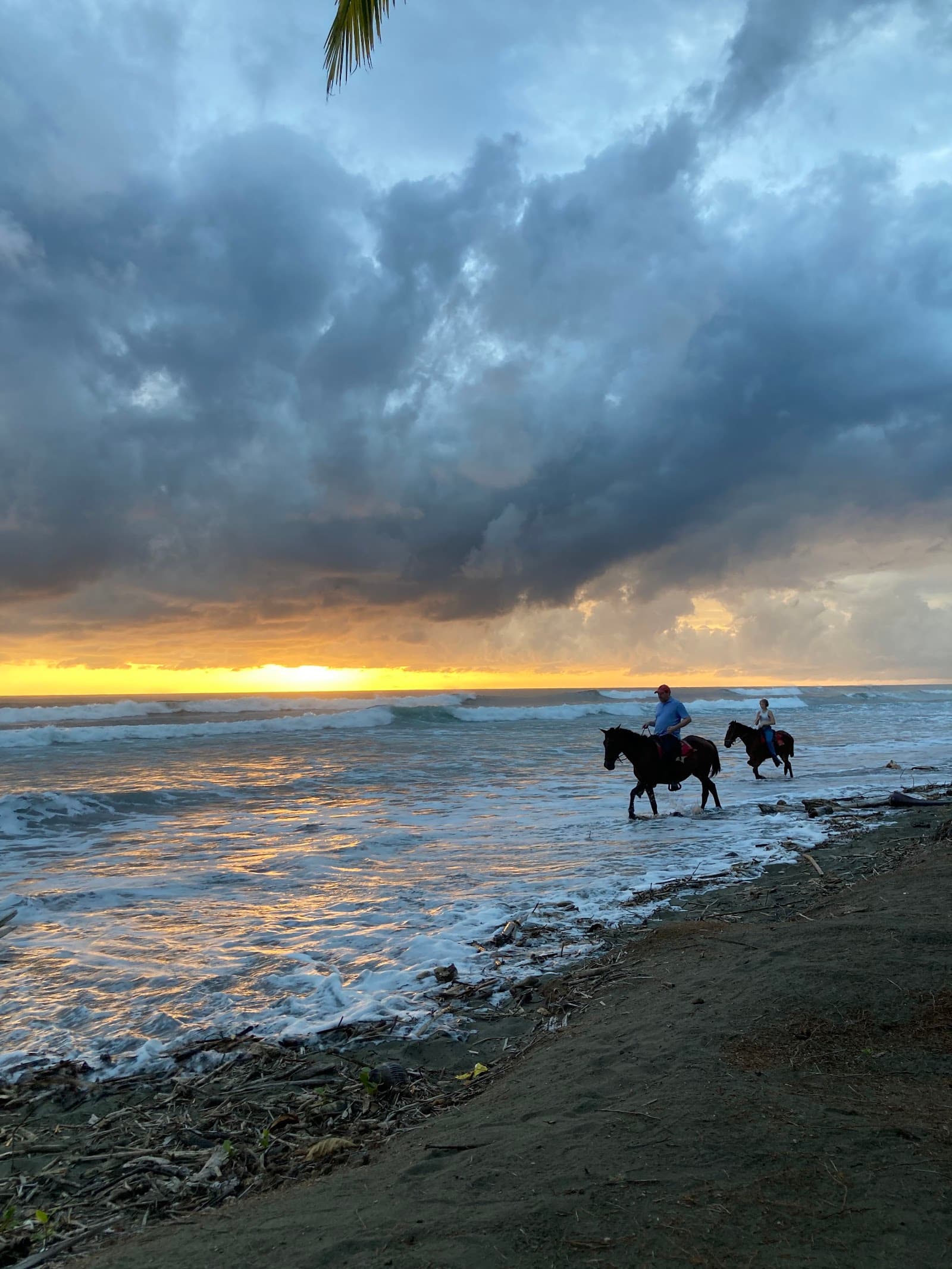 Horseback riding on Playa Matapalo