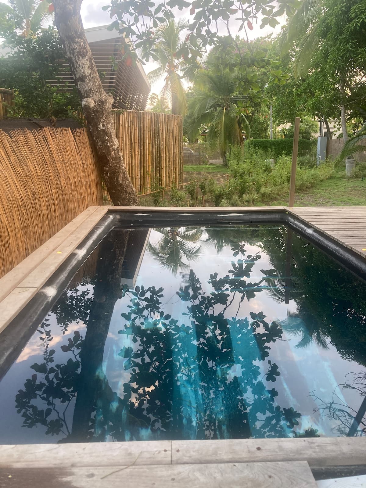 Safari Tent with Pool 1, backyard