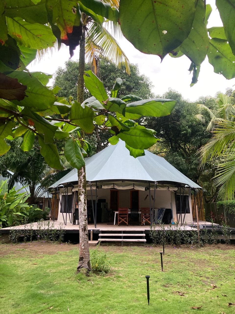 Safari Tent with Pool 2, hero view