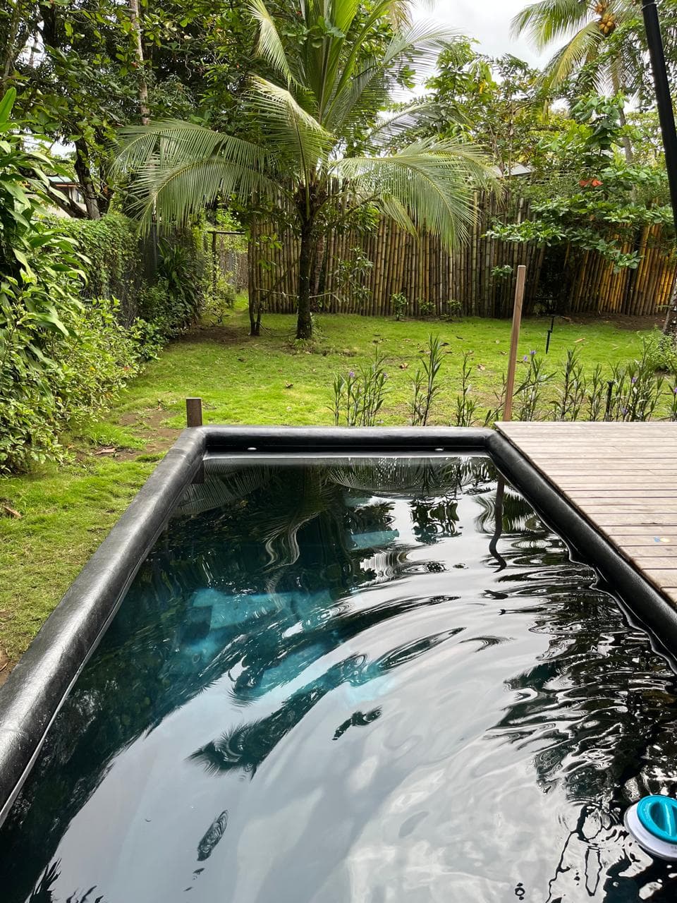 Safari Tent with Pool 2, backyard